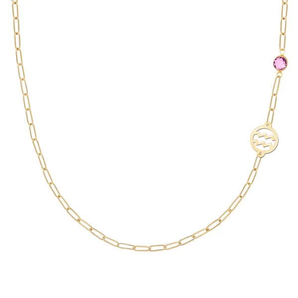 Personalized Aquarius & Birthstone Necklace on Adelaide Mini in 14k Gold sold by Haverhill