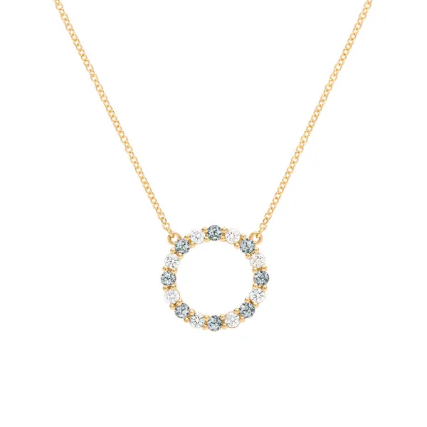 Personalized Rosecliff Circle Birthstone Necklace in 14k Gold sold by Haverhill