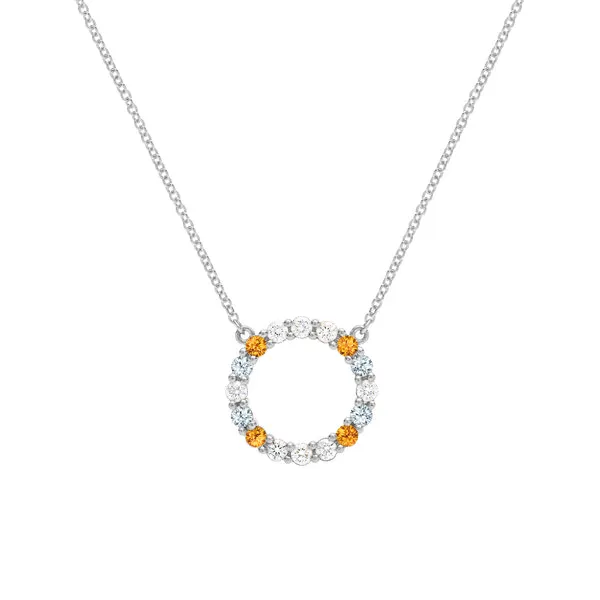 Personalized Rosecliff Circle Birthstone Necklace in 14k Gold sold by Haverhill