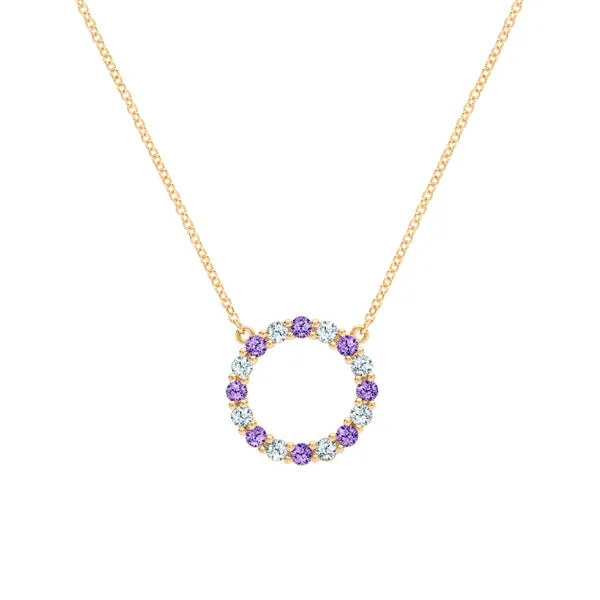 Personalized Rosecliff Circle Birthstone Necklace in 14k Gold sold by Haverhill