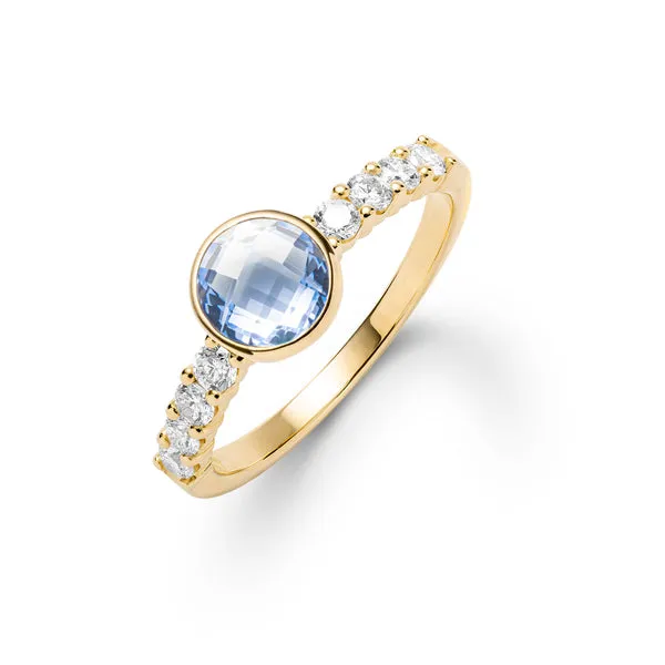Rosecliff Grand Aquamarine Ring in 14k Gold (March) sold by Haverhill