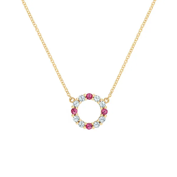 Personalized Rosecliff Small Circle Birthstone Necklace in 14k Gold sold by Haverhill