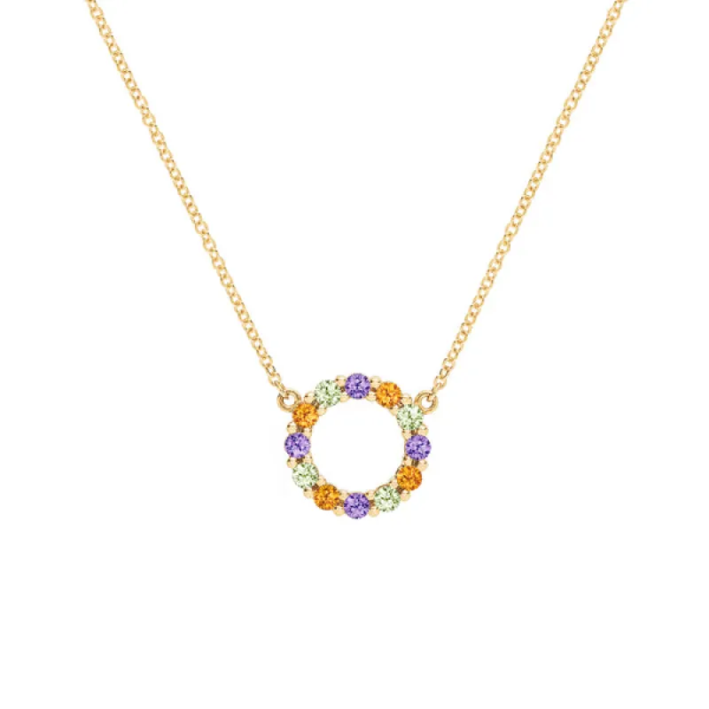 Personalized Rosecliff Small Circle Birthstone Necklace in 14k Gold sold by Haverhill