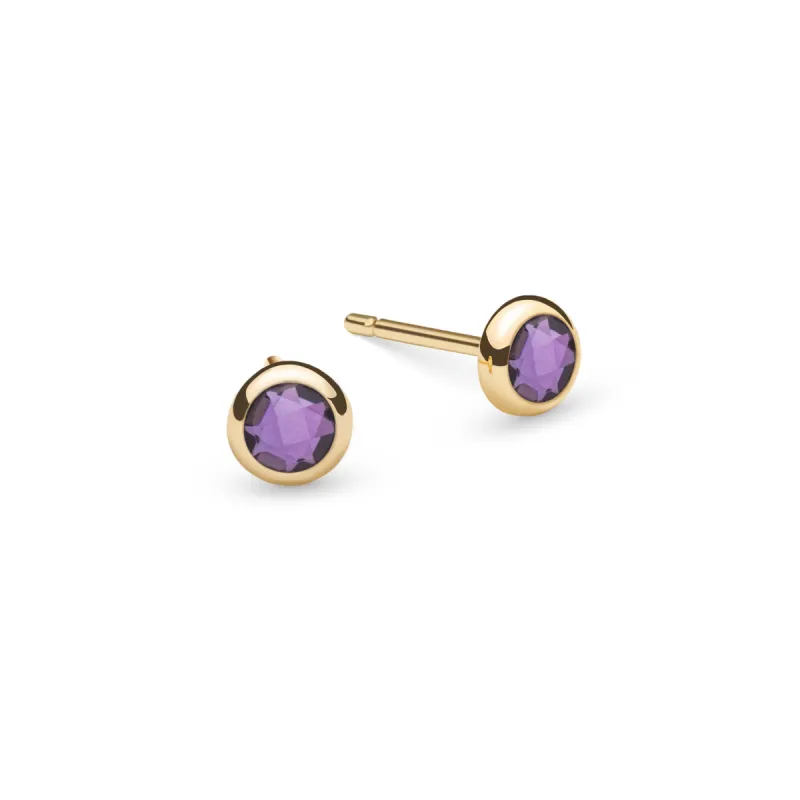 Petite Amethyst Stud Earrings in 14k Gold (February) sold by Haverhill