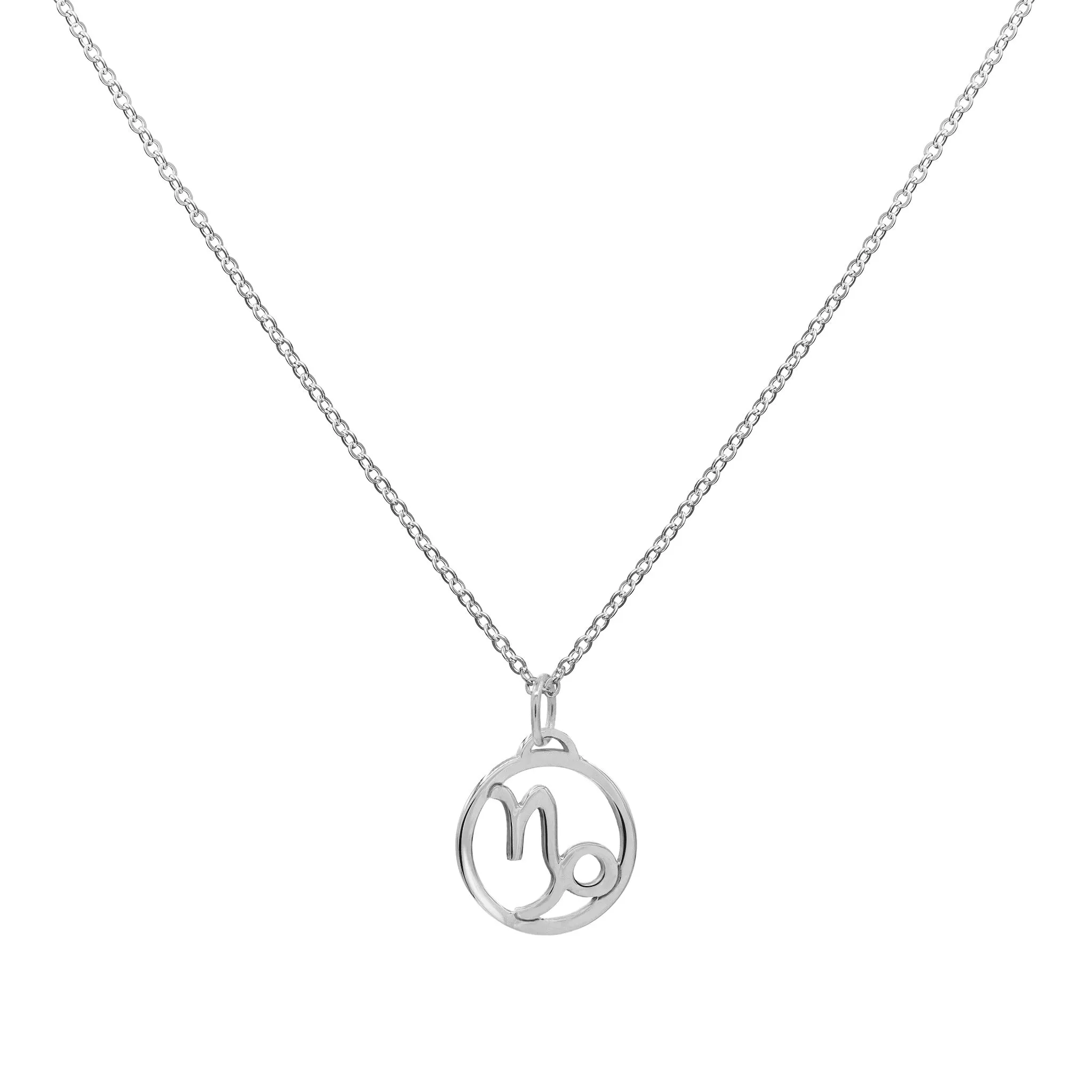 Flat Capricorn Pendant with Classic Chain in 14k Gold sold by Haverhill product image thumbnail 4