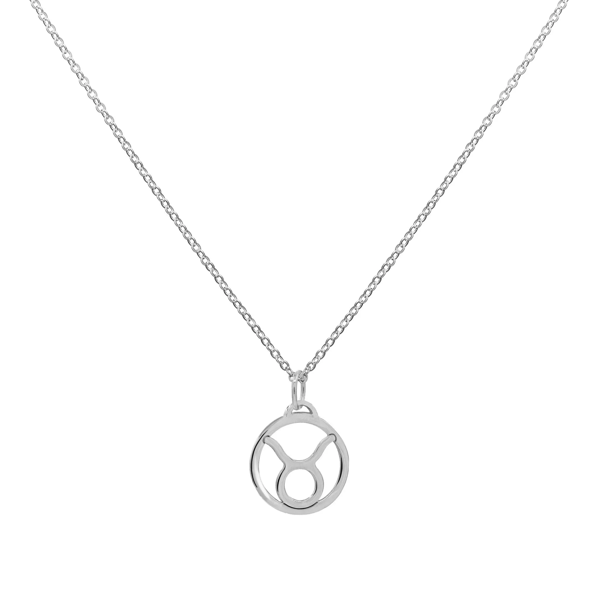 Flat Taurus Pendant with Classic Chain in 14k Gold sold by Haverhill product image thumbnail 5