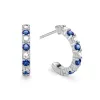Rosecliff Diamond & Sapphire Huggie Hoop Earrings in 14k Gold (September) sold by Haverhill