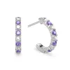 Rosecliff Diamond & Amethyst Huggie Hoop Earrings in 14k Gold (February) sold by Haverhill