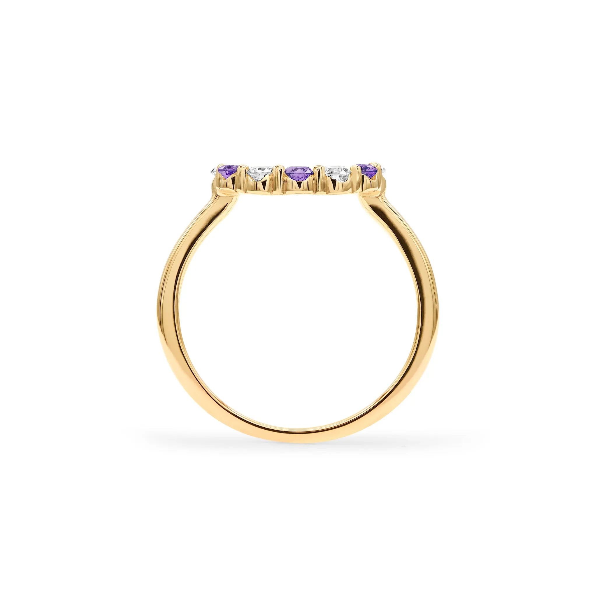 Rosecliff Small Circle Diamond & Amethyst Ring in 14k Gold (February) sold by Haverhill product image thumbnail 4
