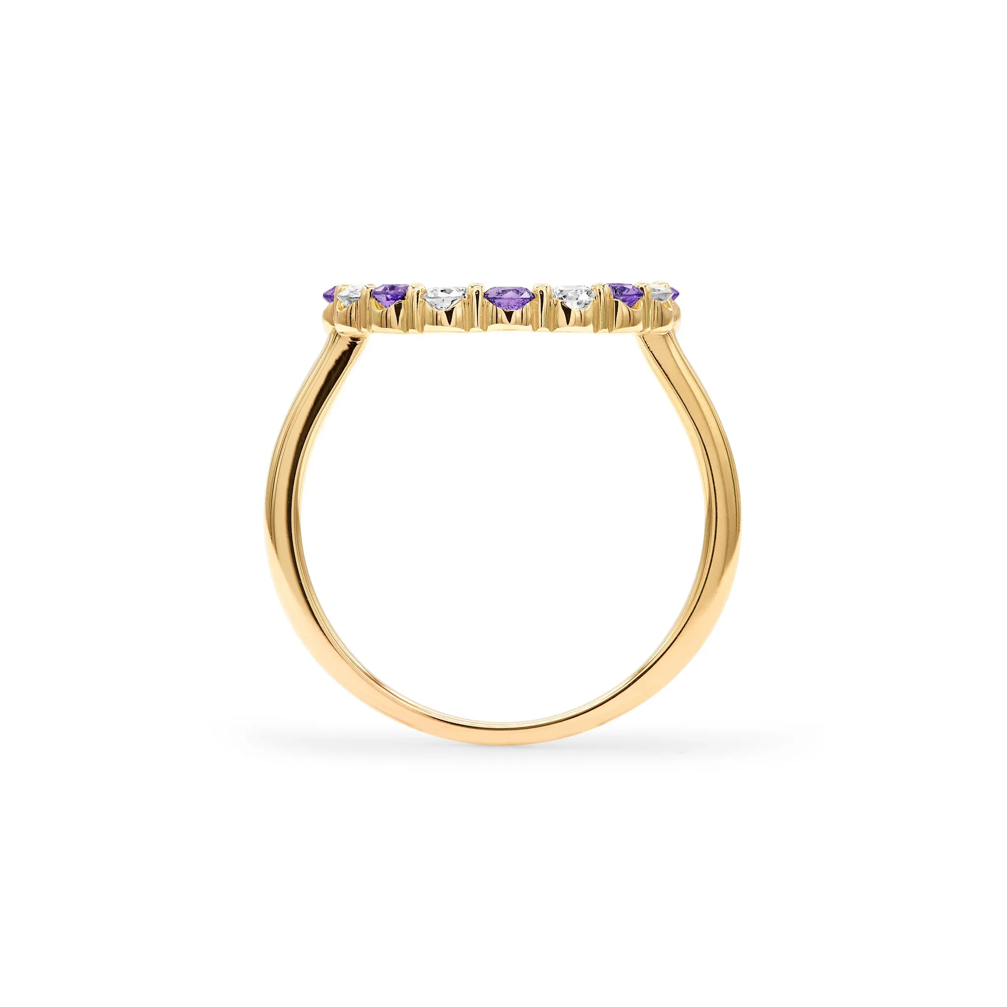 Rosecliff Circle Diamond & Amethyst Ring in 14k Gold (February) sold by Haverhill product image thumbnail 4