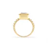 Warren Vertical Birthstone Ring with Accent Stones in 14k Gold sold by Haverhill