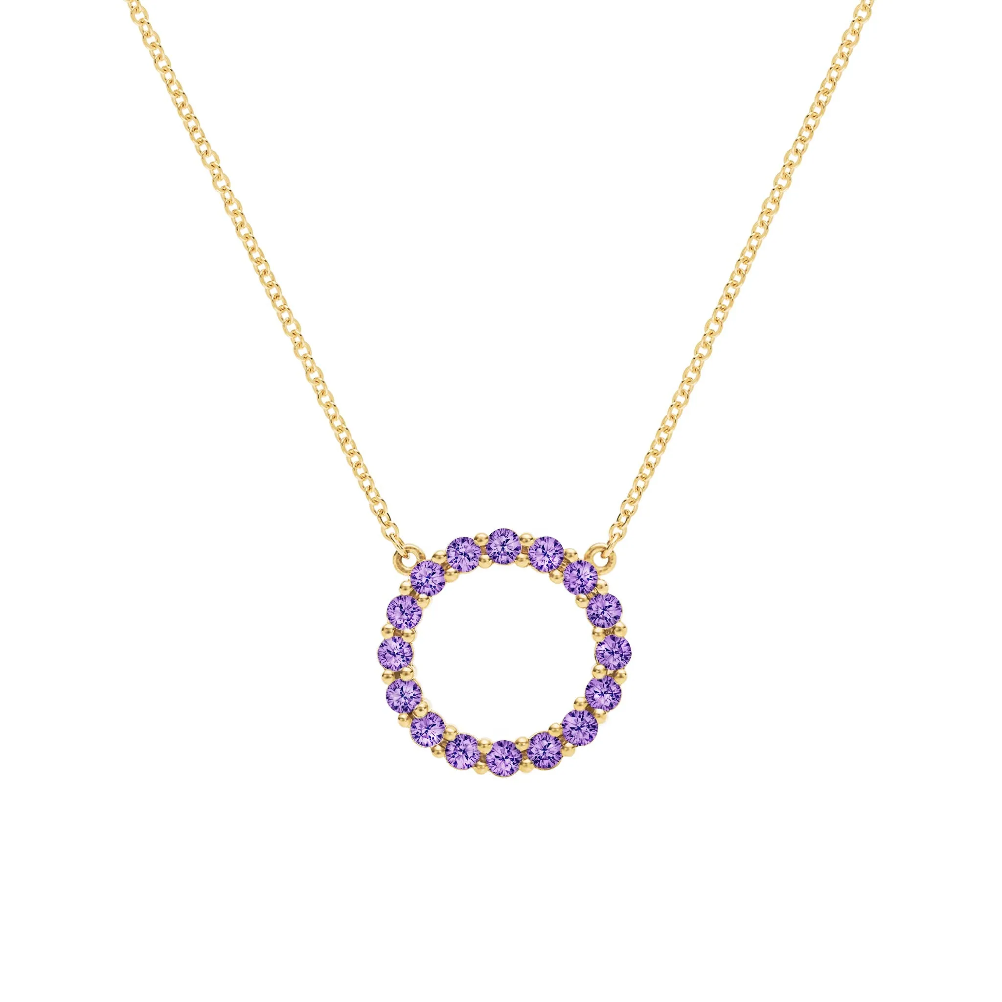 Rosecliff Circle Amethyst Necklace in 14k Gold (February) sold by Haverhill