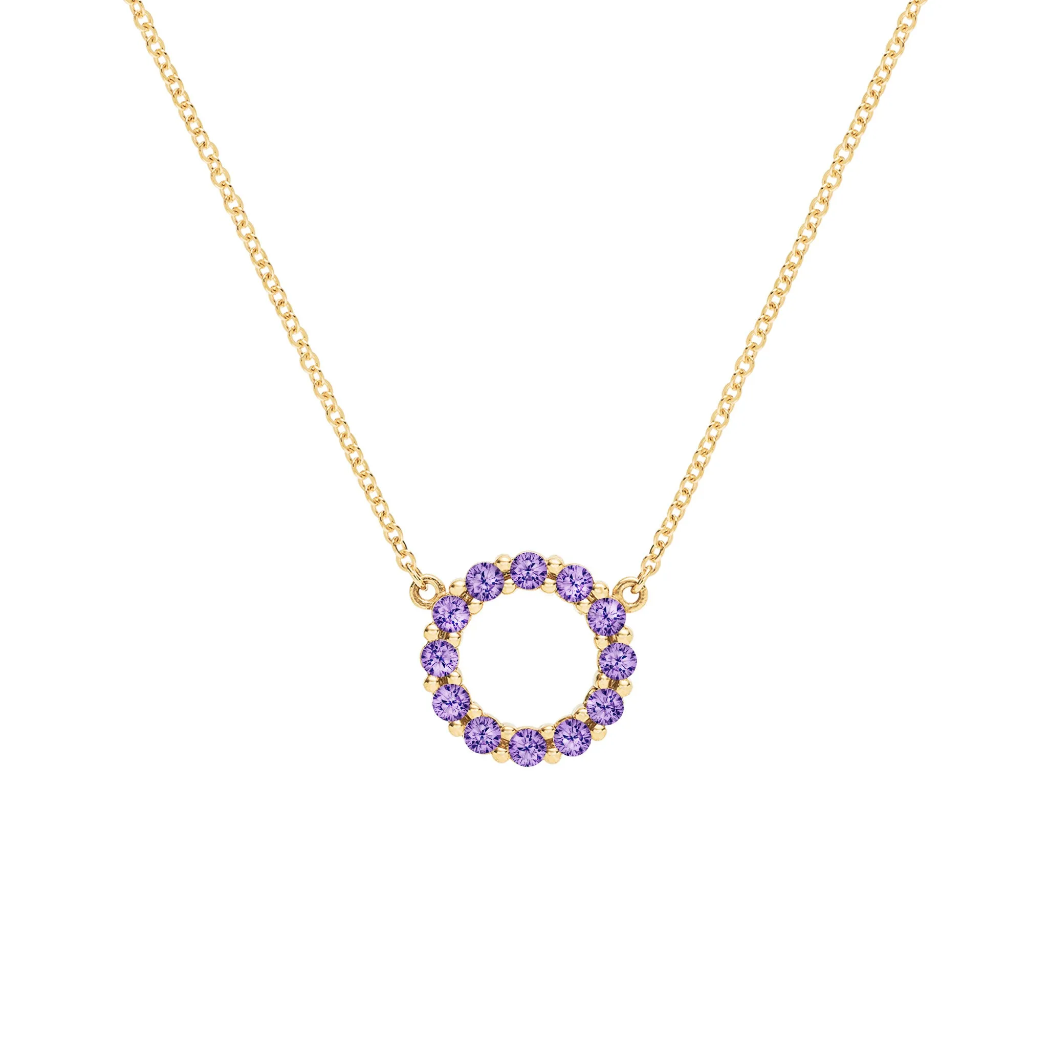 Rosecliff Small Circle Amethyst Necklace in 14k Gold (February) sold by Haverhill