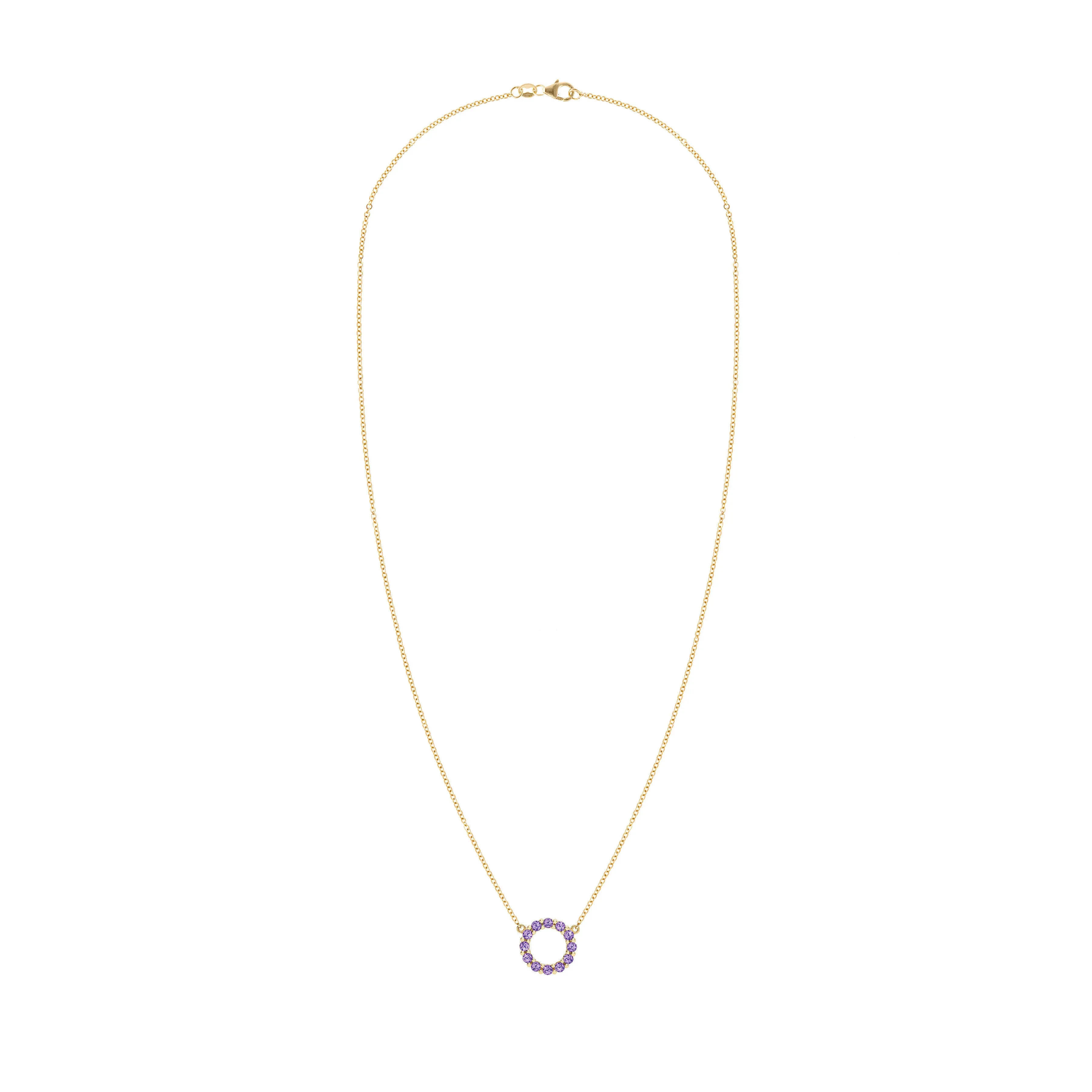 Rosecliff Small Circle Amethyst Necklace in 14k Gold (February) sold by Haverhill product image thumbnail 5