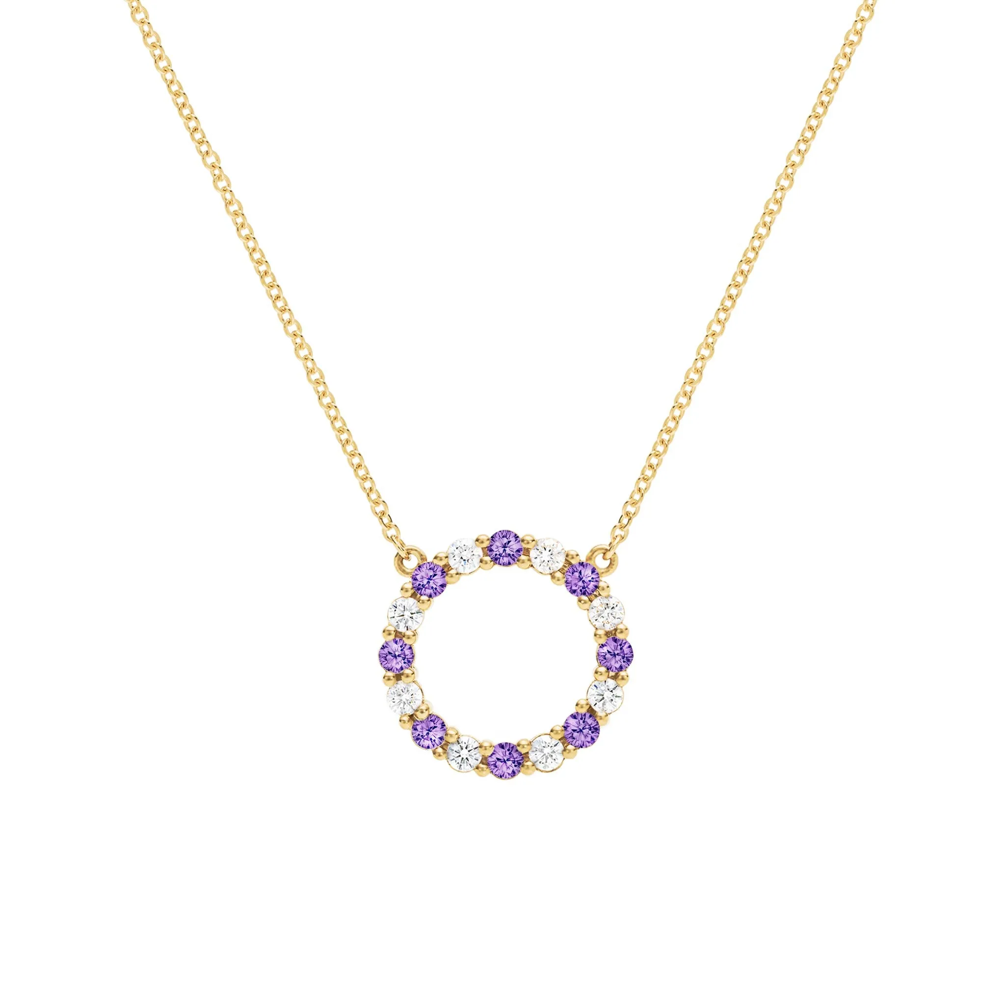 Rosecliff Circle Diamond & Amethyst Necklace in 14k Gold (February) sold by Haverhill