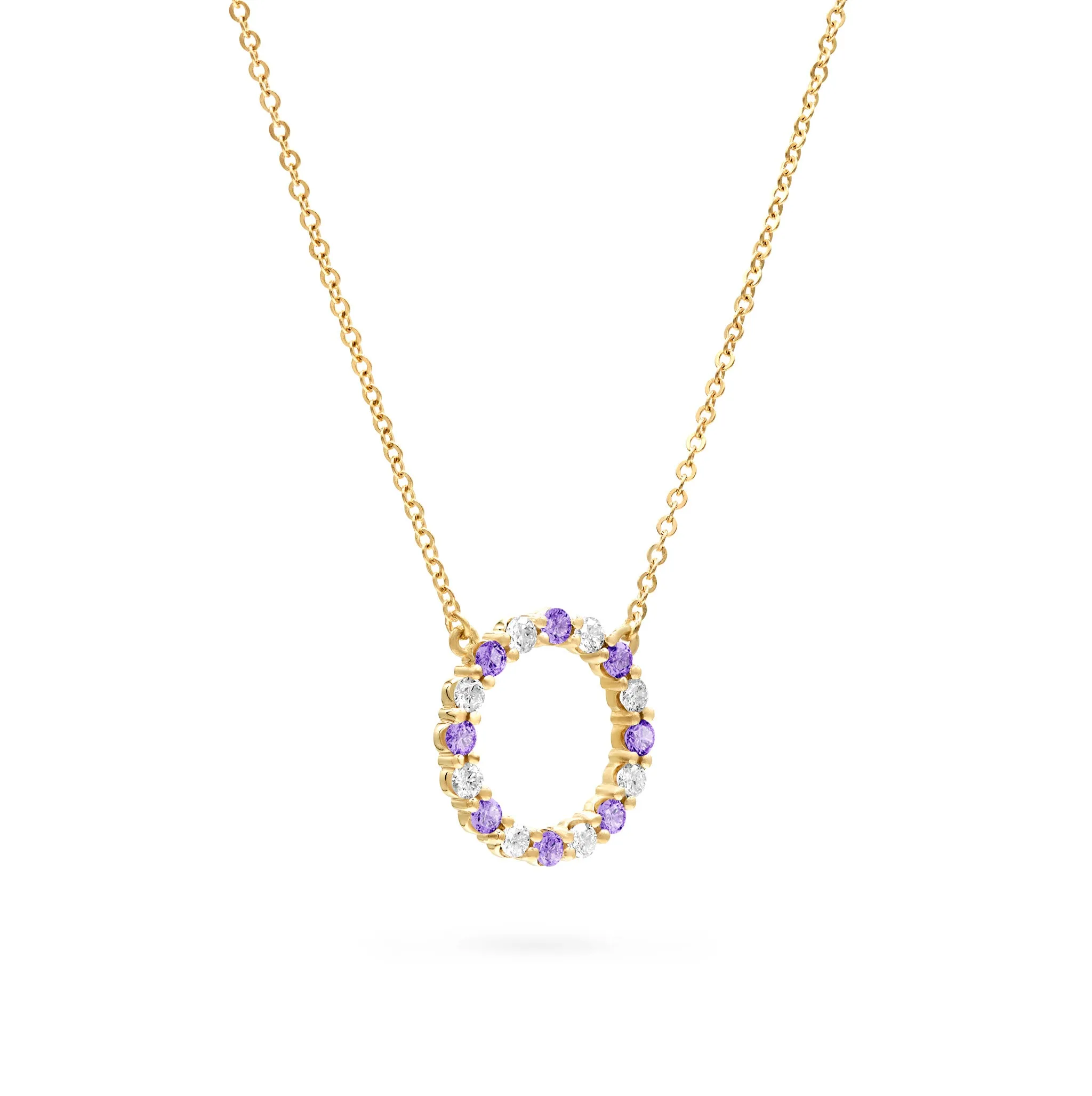 Rosecliff Circle Diamond & Amethyst Necklace in 14k Gold (February) sold by Haverhill product image thumbnail 4