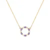 Rosecliff Small Circle Diamond & Amethyst Necklace in 14k Gold (February) sold by Haverhill