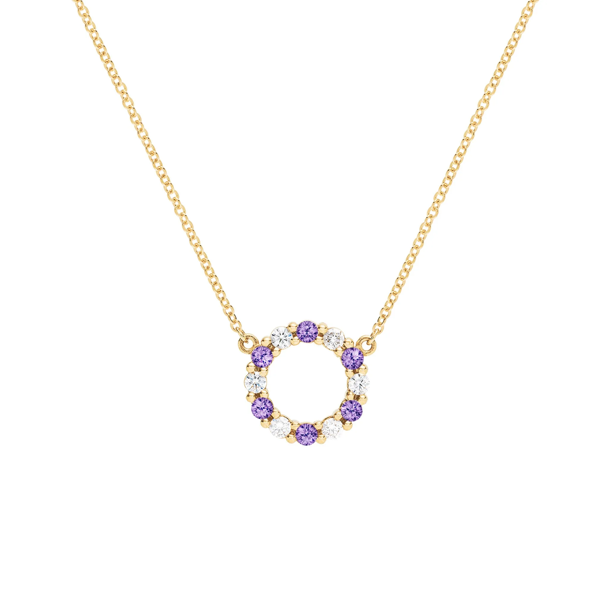 Rosecliff Small Circle Diamond & Amethyst Necklace in 14k Gold (February) sold by Haverhill