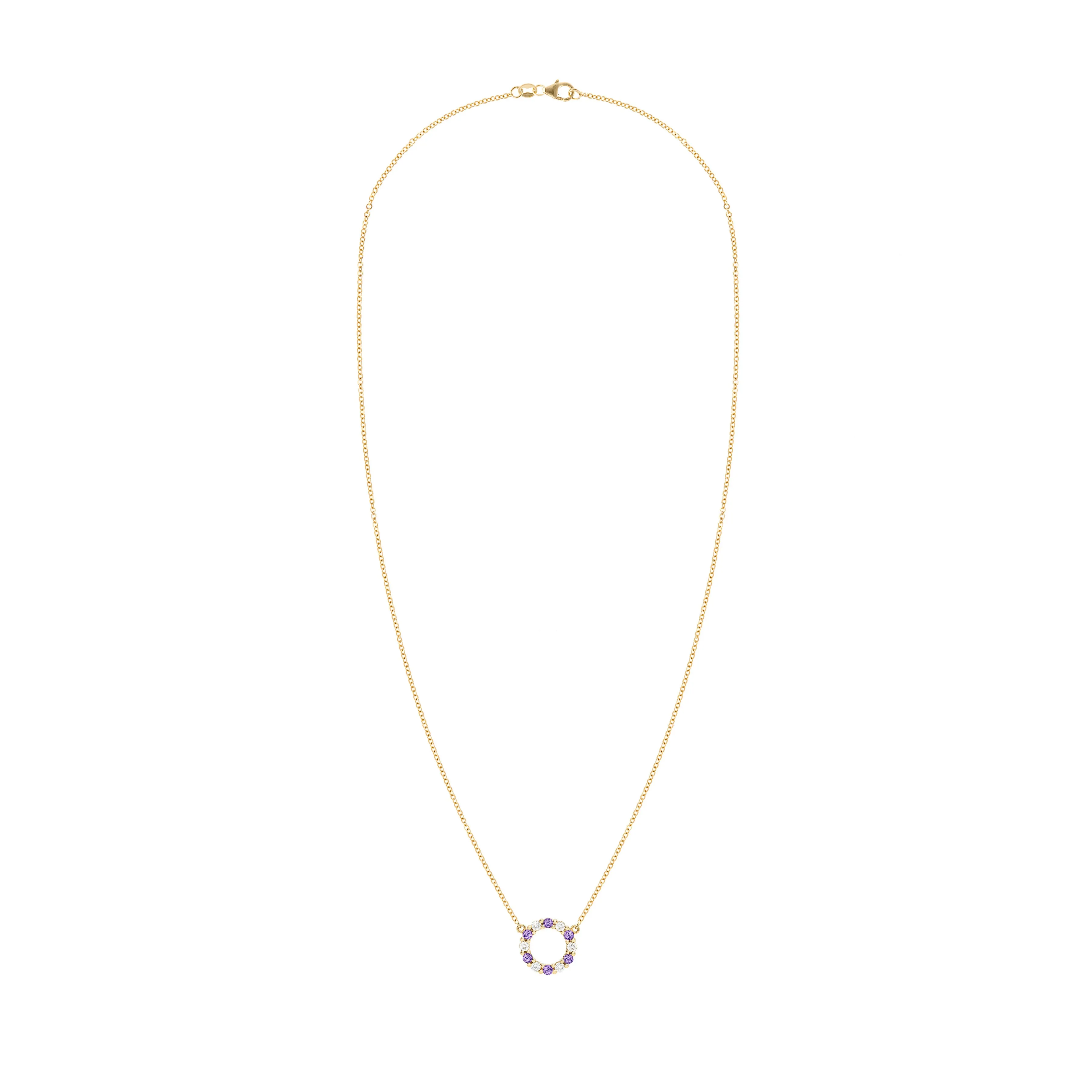 Rosecliff Small Circle Diamond & Amethyst Necklace in 14k Gold (February) sold by Haverhill product image thumbnail 5