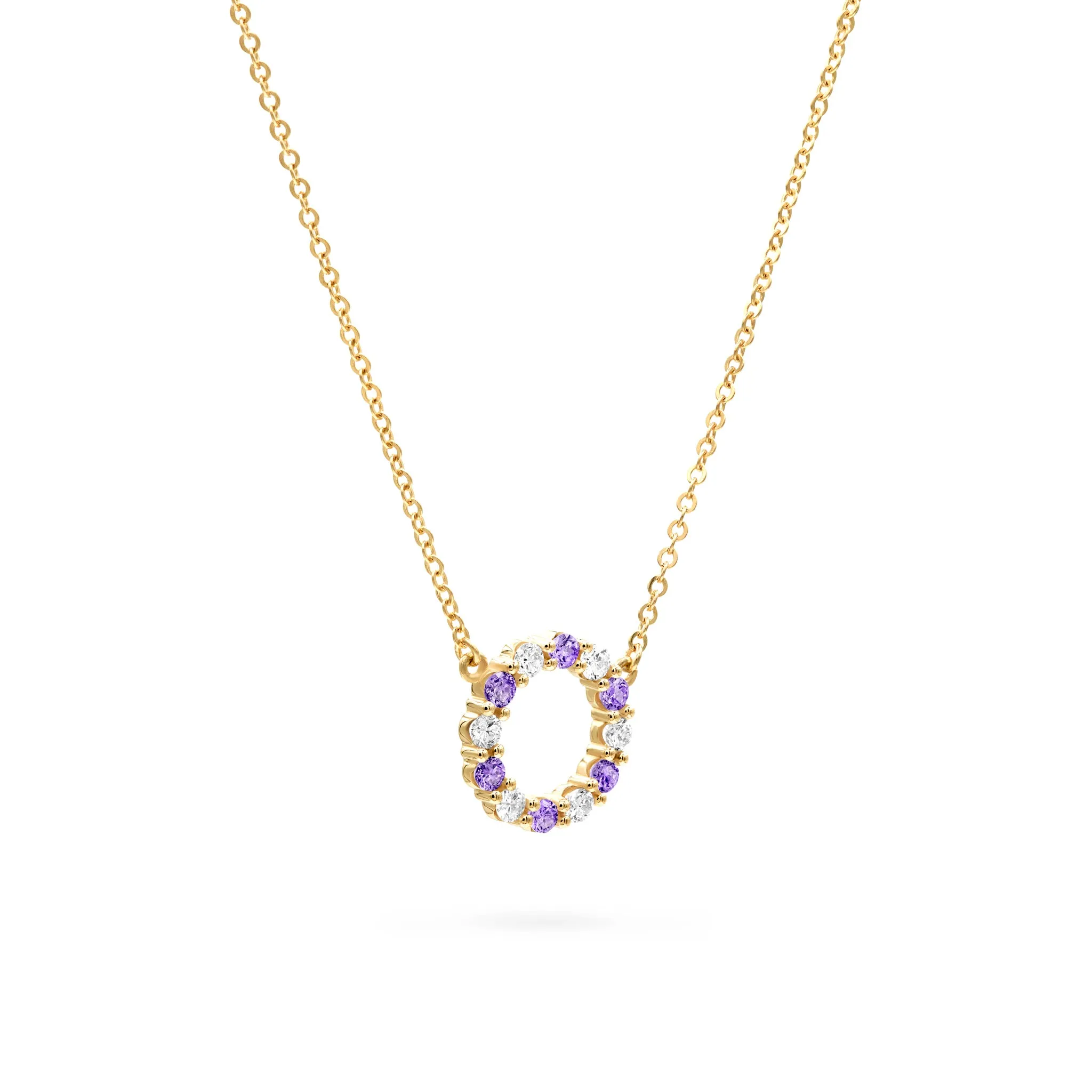 Rosecliff Small Circle Diamond & Amethyst Necklace in 14k Gold (February) sold by Haverhill product image thumbnail 4