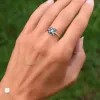 Greenwich 4 Alexandrite & Diamond Ring in 14k Gold (June) sold by Haverhill