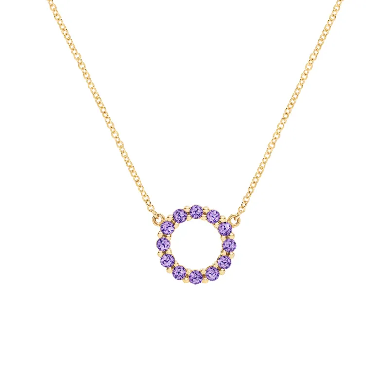 SAMPLE SALE Rosecliff Small Circle Amethyst Necklace in 14k Gold (February) sold by Haverhill