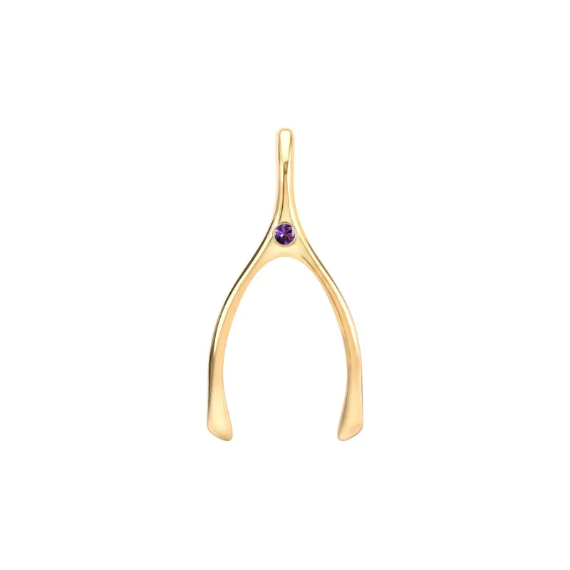 Large Amethyst Wishbone Pendant in Solid 14k Gold (February) sold by Haverhill