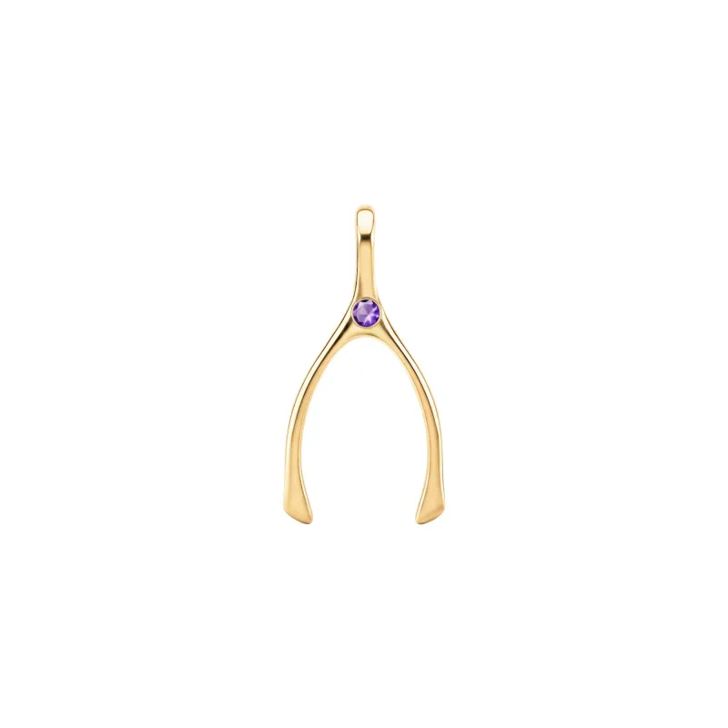 Small Amethyst Wishbone Pendant in Solid 14k Gold (February) sold by Haverhill