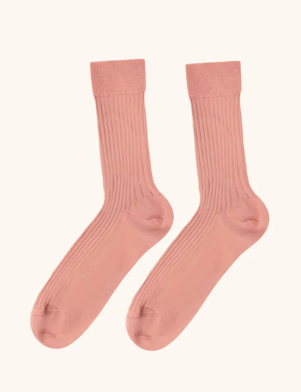 JVB X NOMASEI : SOCKS - Rose made by Nomasei