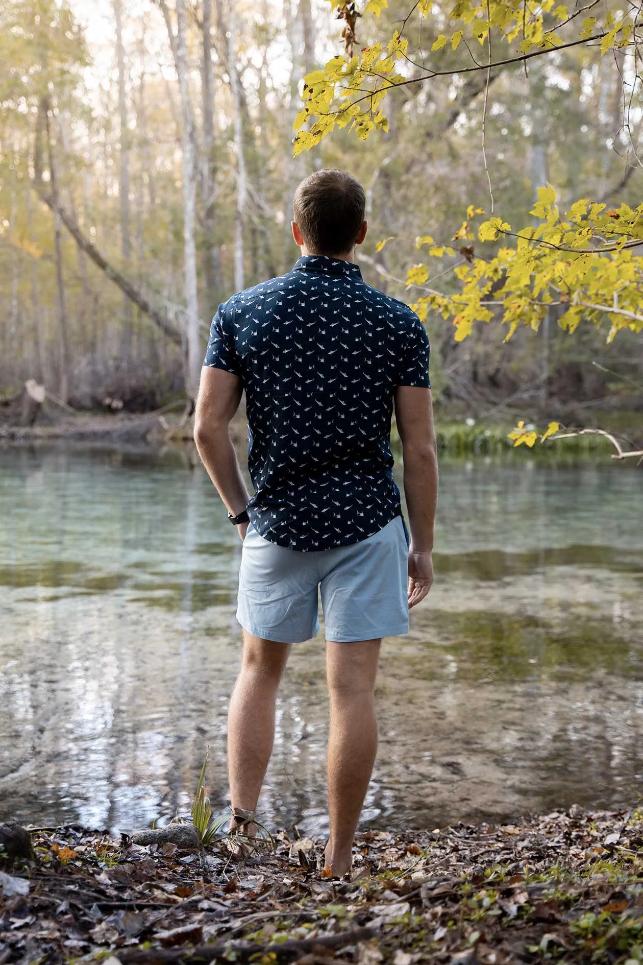 Sharks sold by Bermies product image thumbnail 4