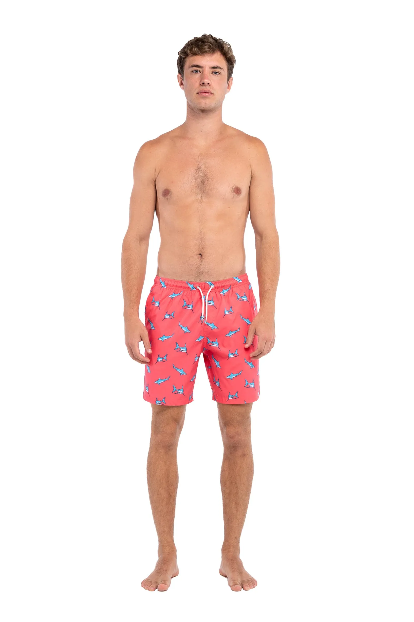 Red Shark sold by Bermies product image thumbnail 4