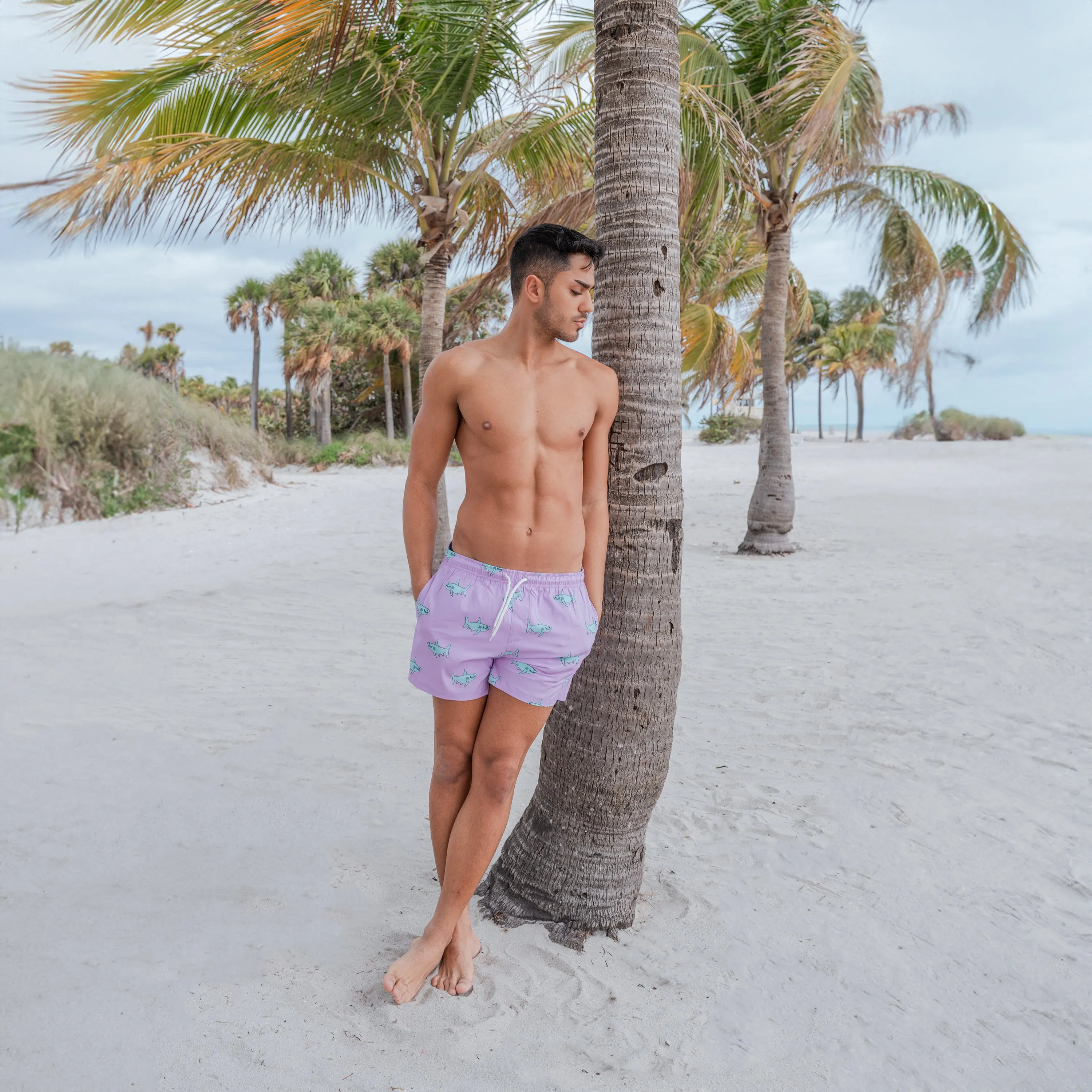 Apex sold by Bermies product image thumbnail 2