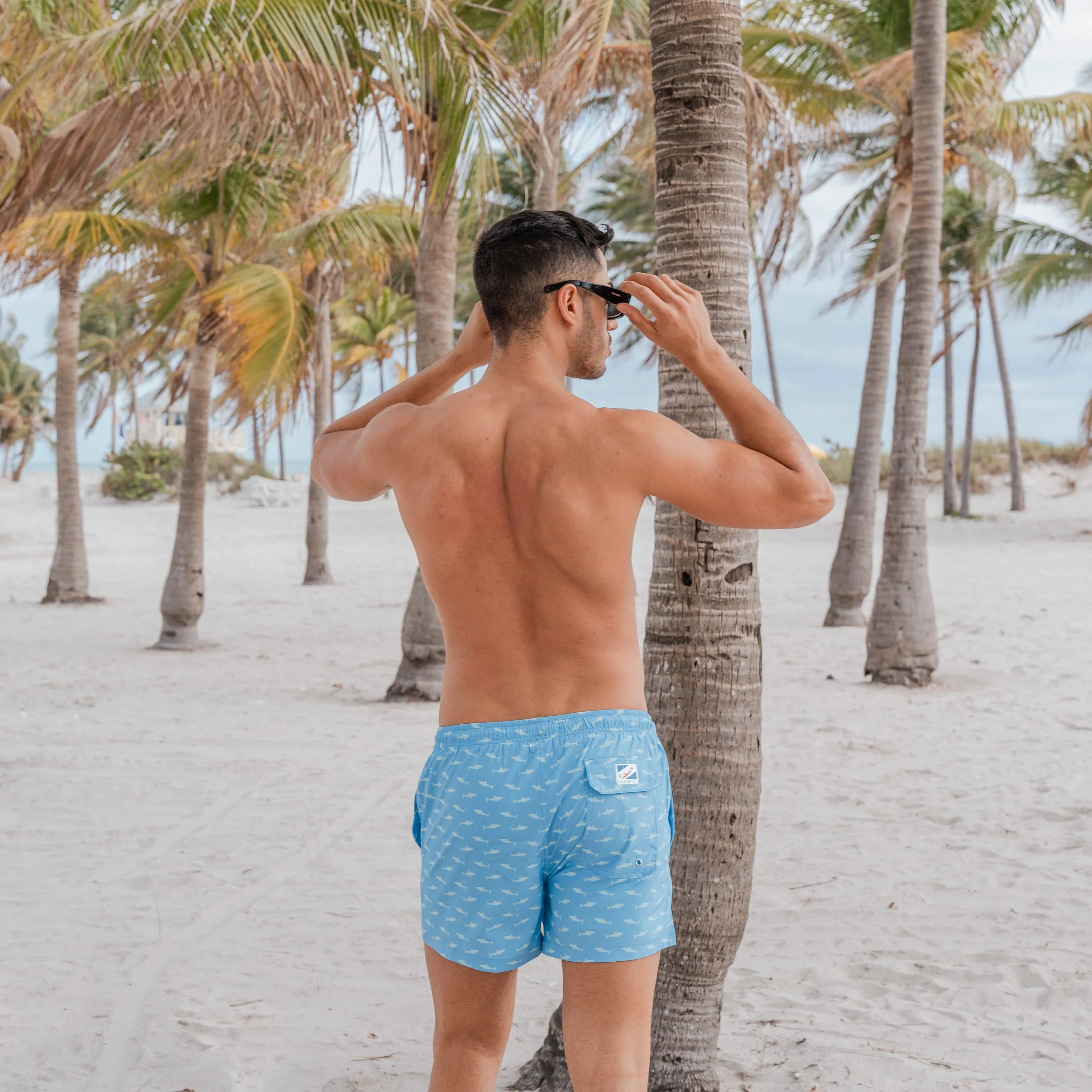 Shark Bay sold by Bermies product image thumbnail 3