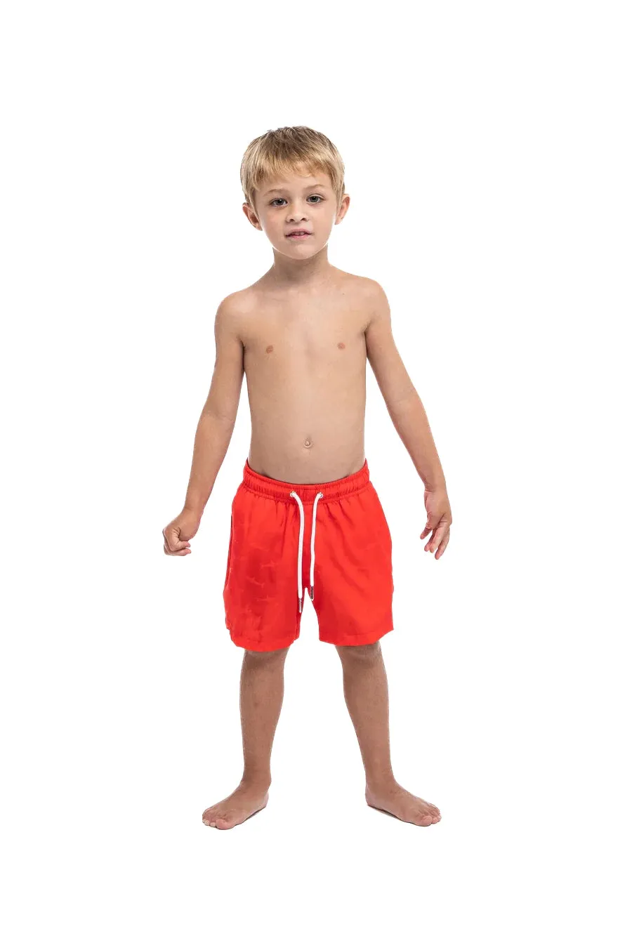 Red to Shark sold by Bermies product image thumbnail 2