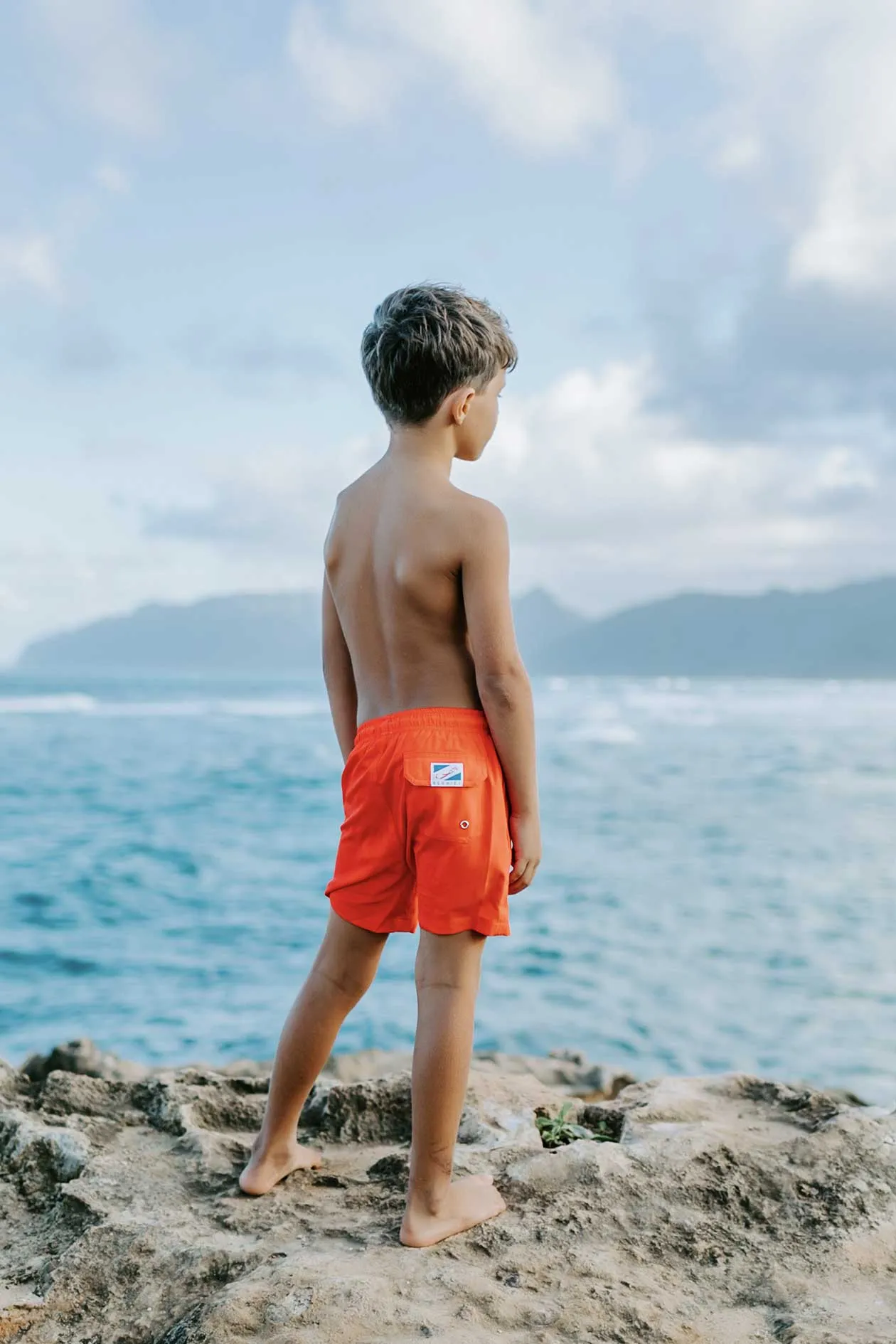 Red to Shark sold by Bermies product image thumbnail 3