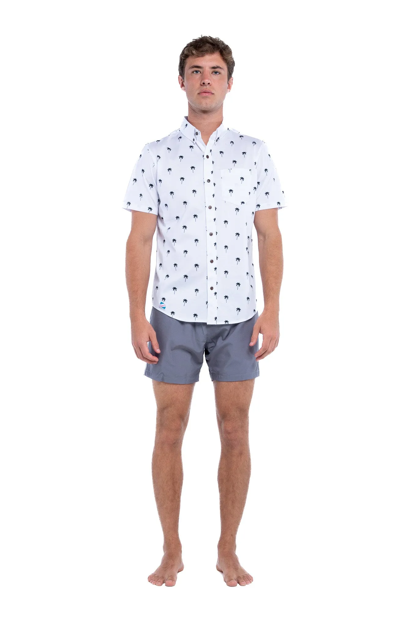 Palm Tree sold by Bermies product image thumbnail 2