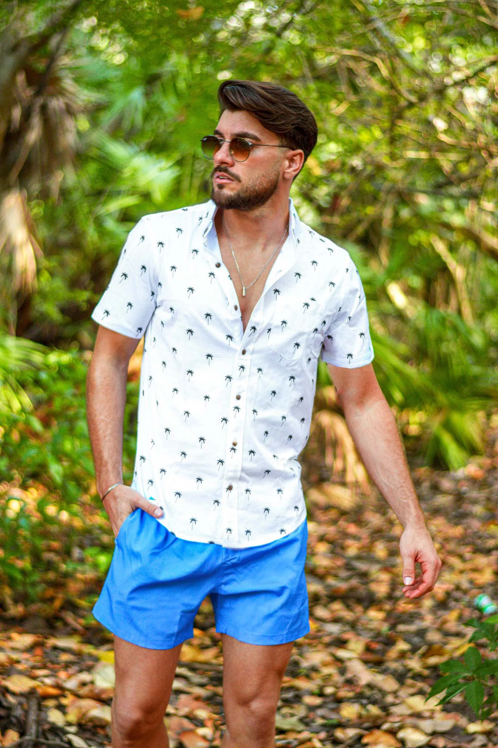 Palm Tree sold by Bermies product image thumbnail 5