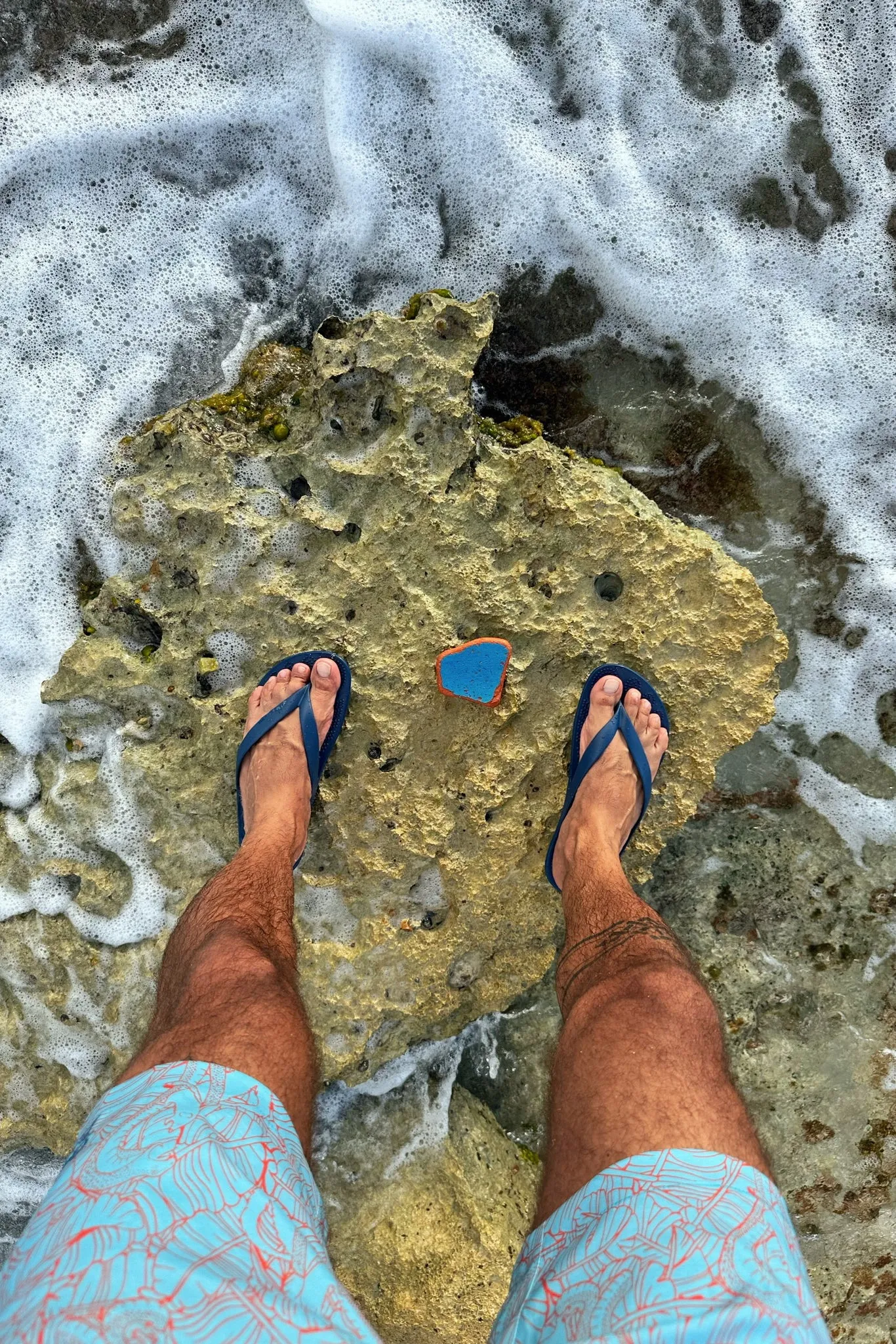 NAVY BLUE sold by Bermies product image thumbnail 2