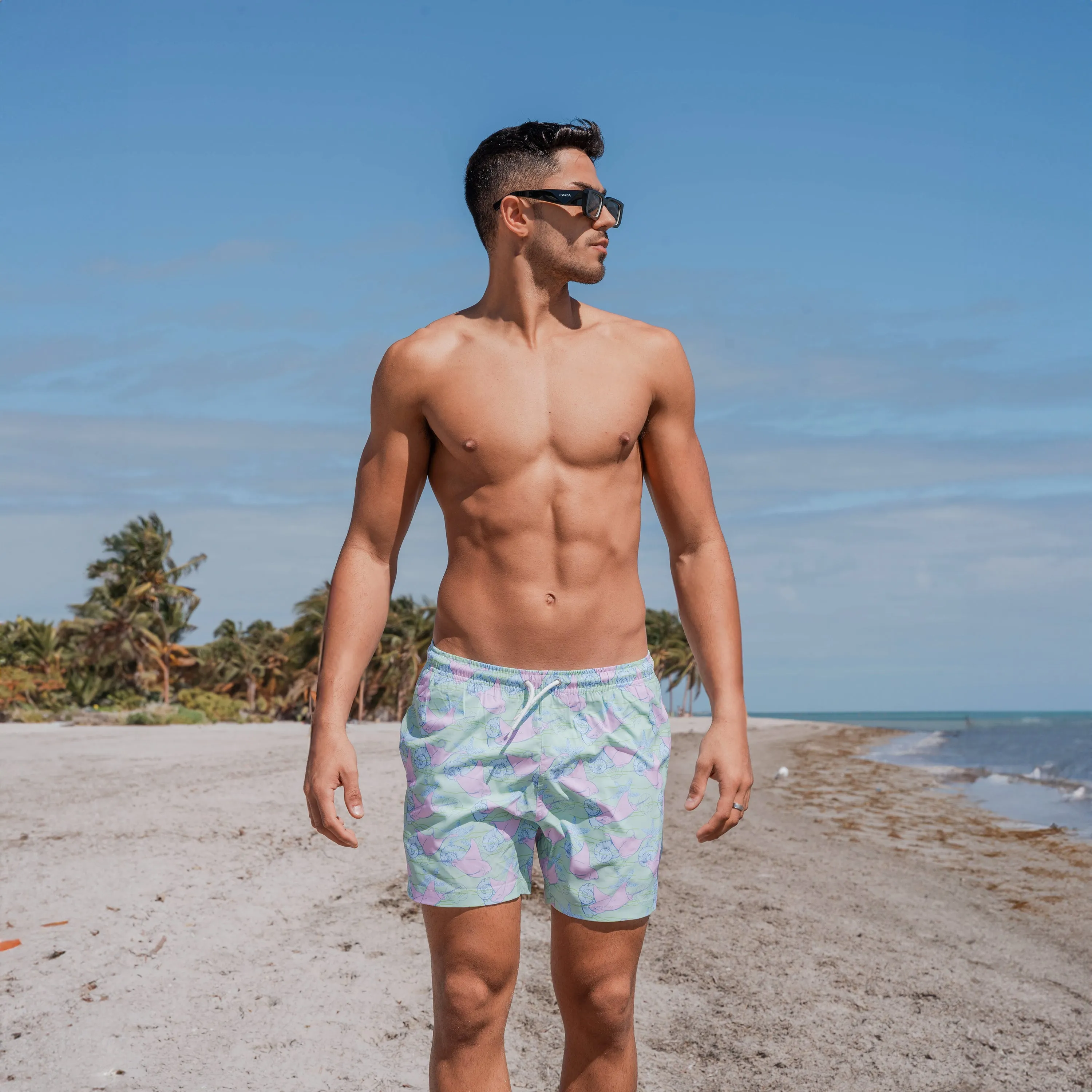 Stingray sold by Bermies product image thumbnail 2