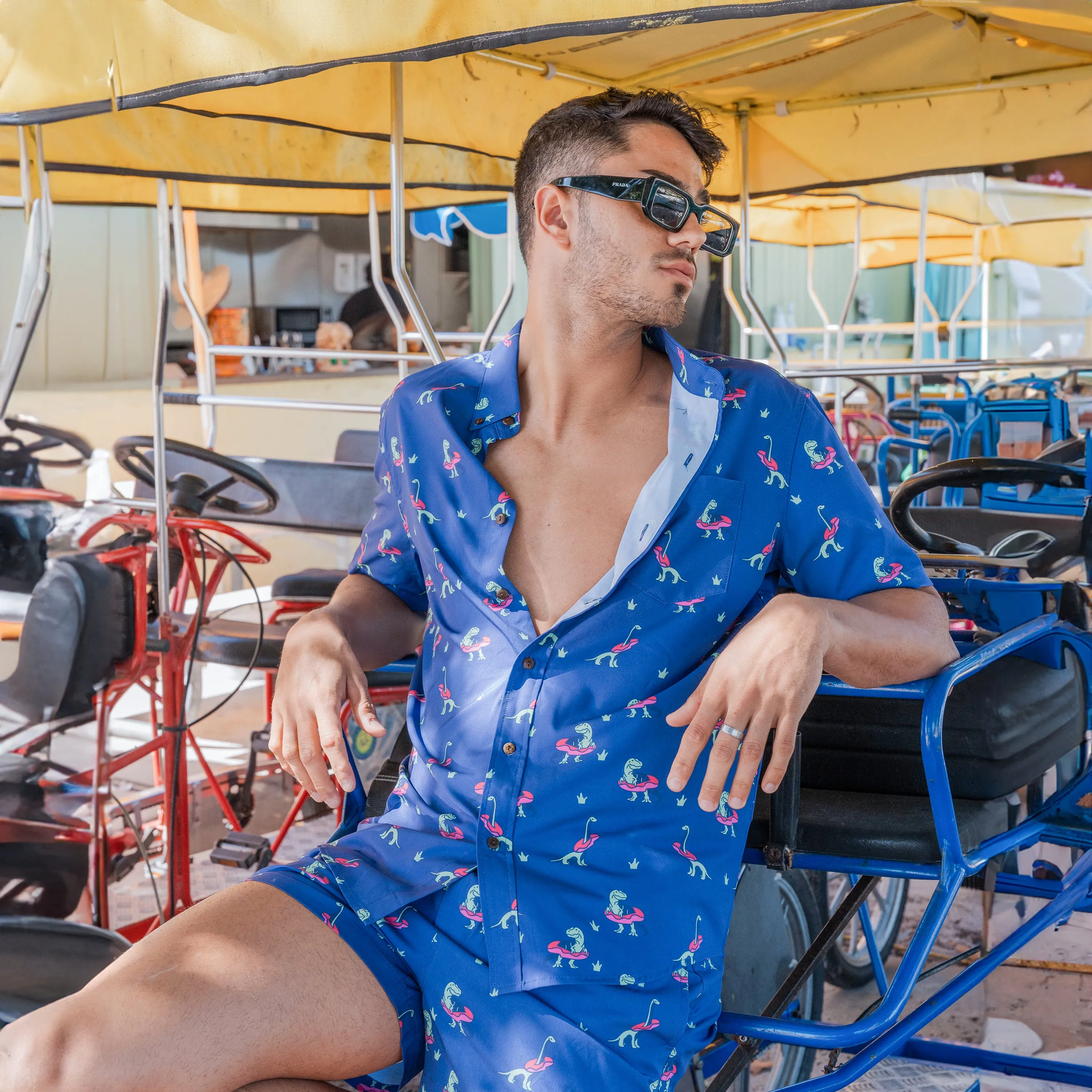 Dino sold by Bermies product image thumbnail 3