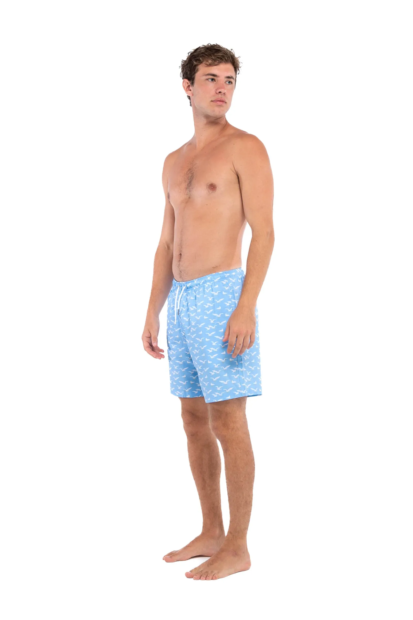 Seagulls sold by Bermies product image thumbnail 5