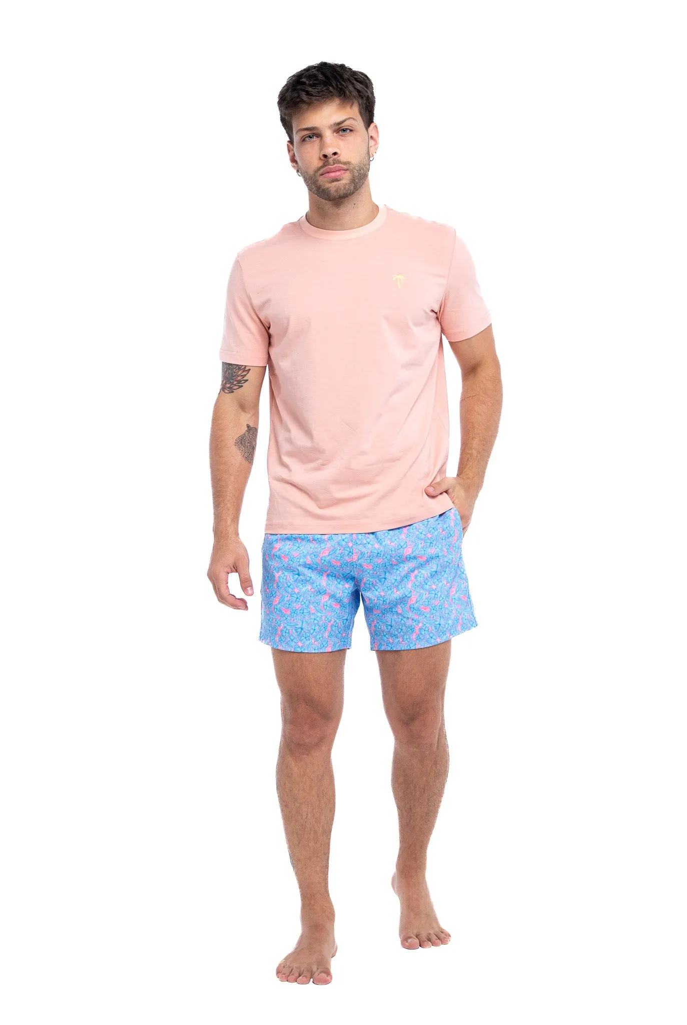 Palm Tree sold by Bermies product image thumbnail 3