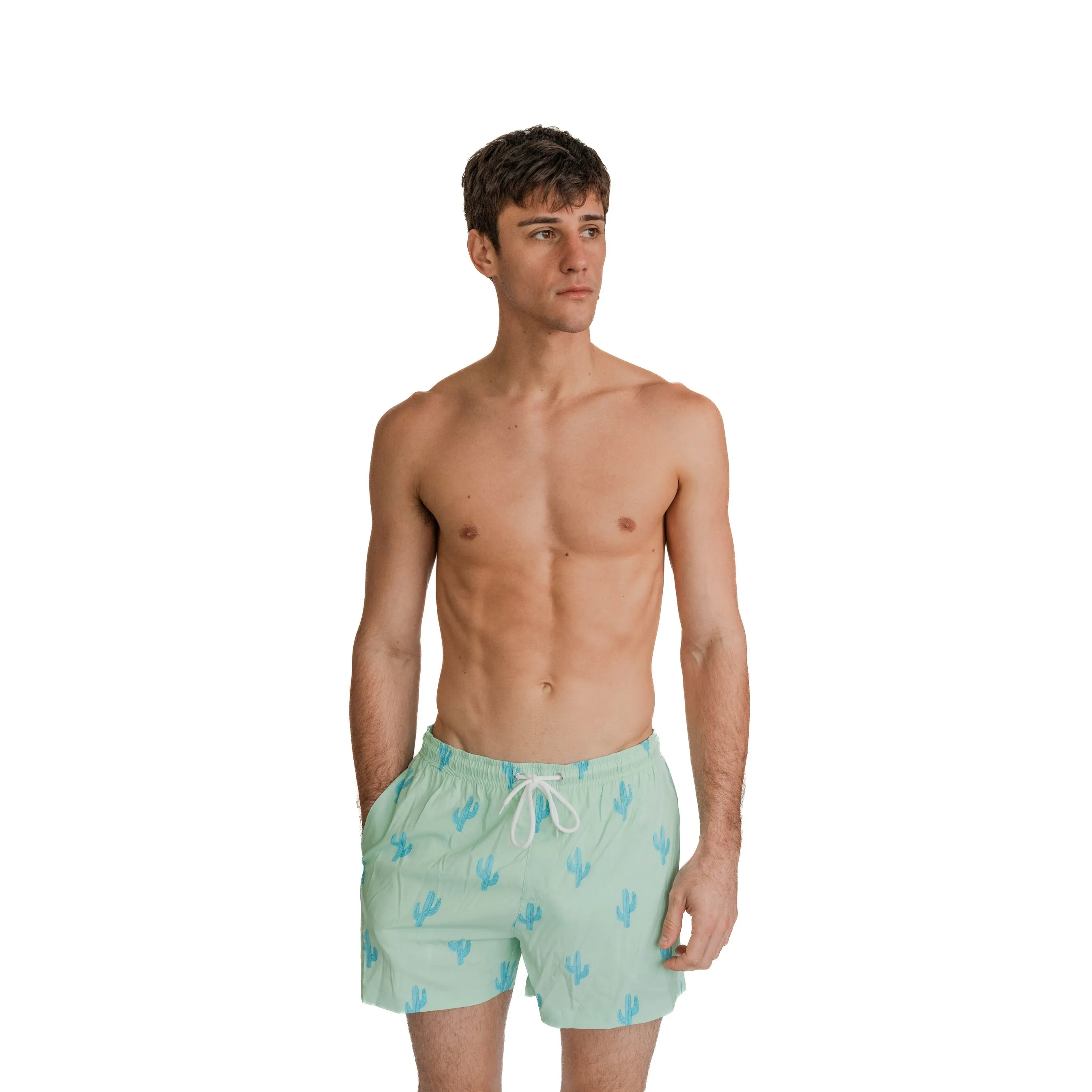 Green Cactus sold by Bermies product image thumbnail 4