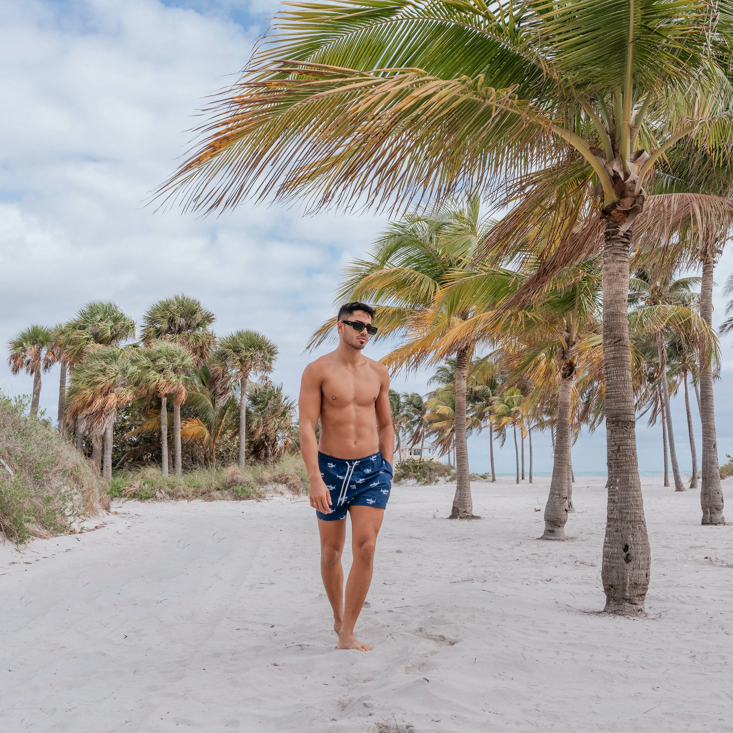 Shark Alley sold by Bermies product image thumbnail 4