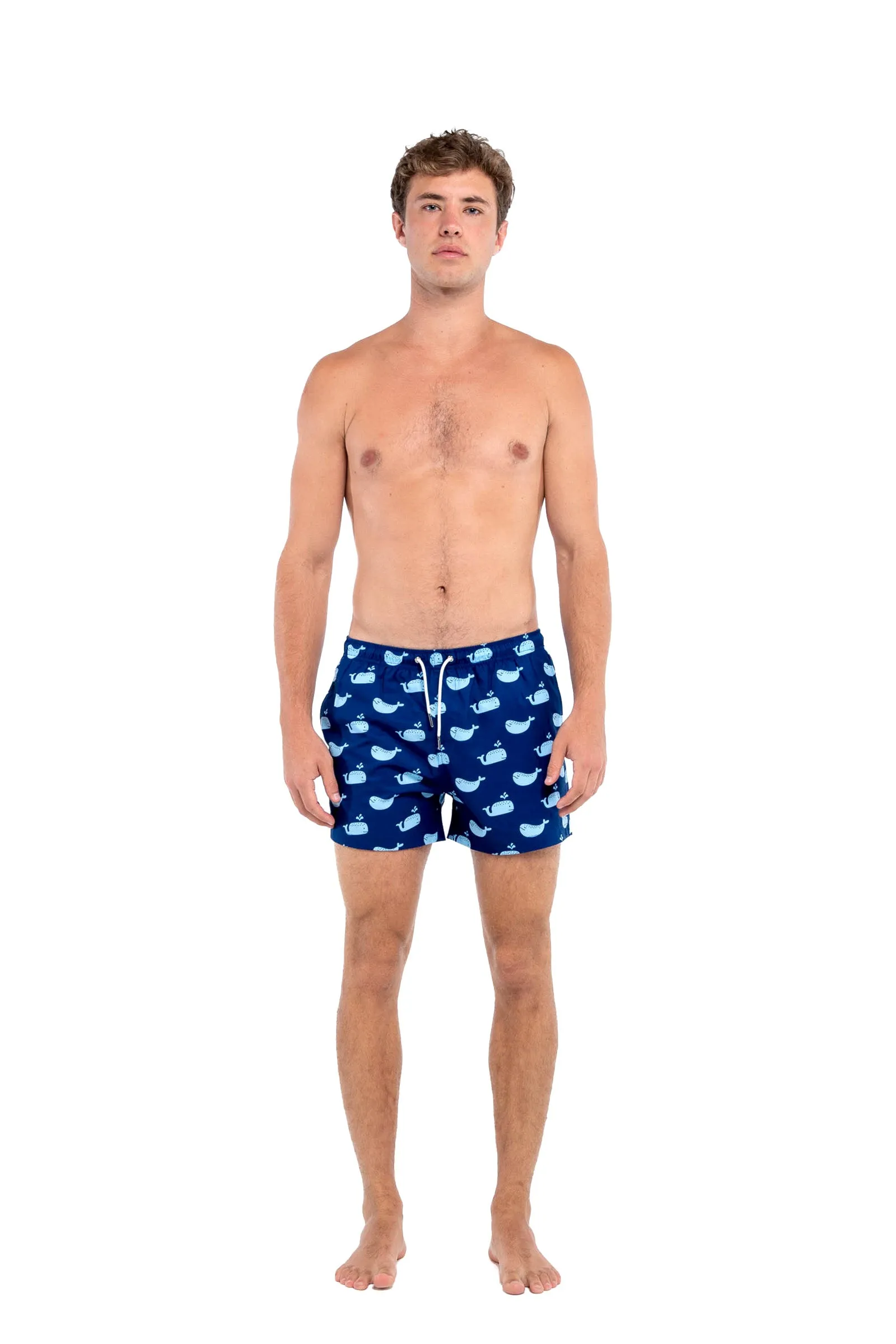 Blue Whale sold by Bermies product image thumbnail 5