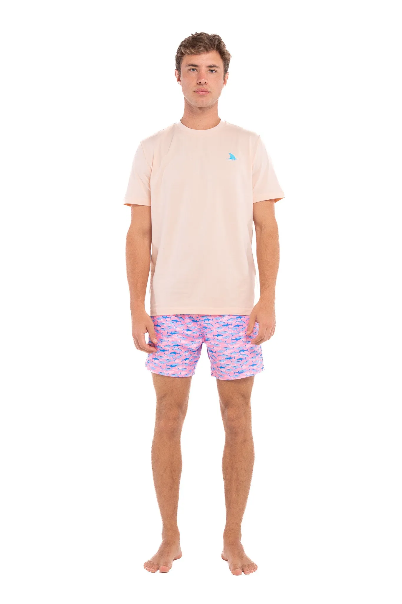 Shark Fin sold by Bermies product image thumbnail 5