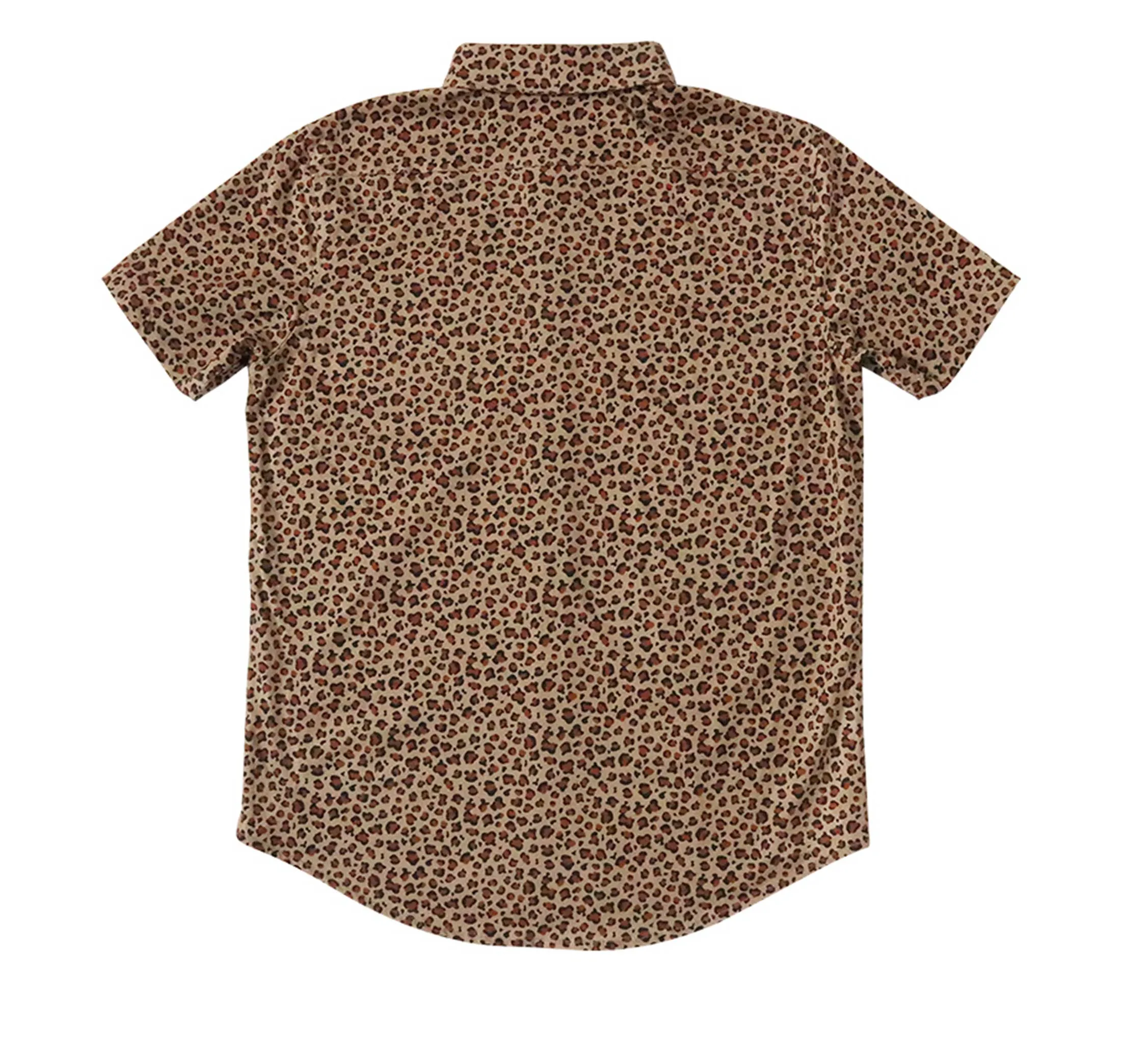 Leopard sold by Bermies product image thumbnail 4