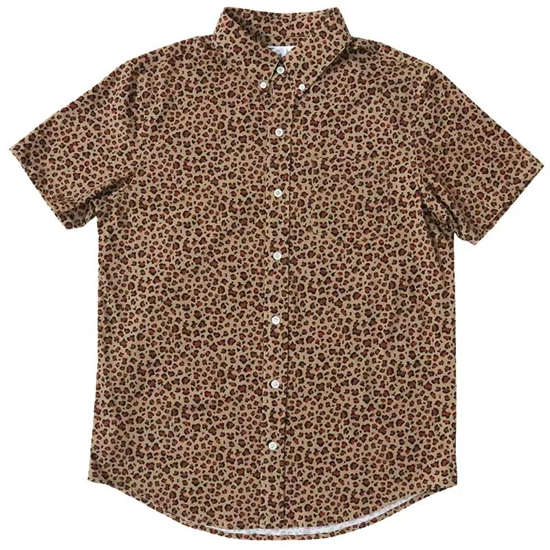 Leopard sold by Bermies