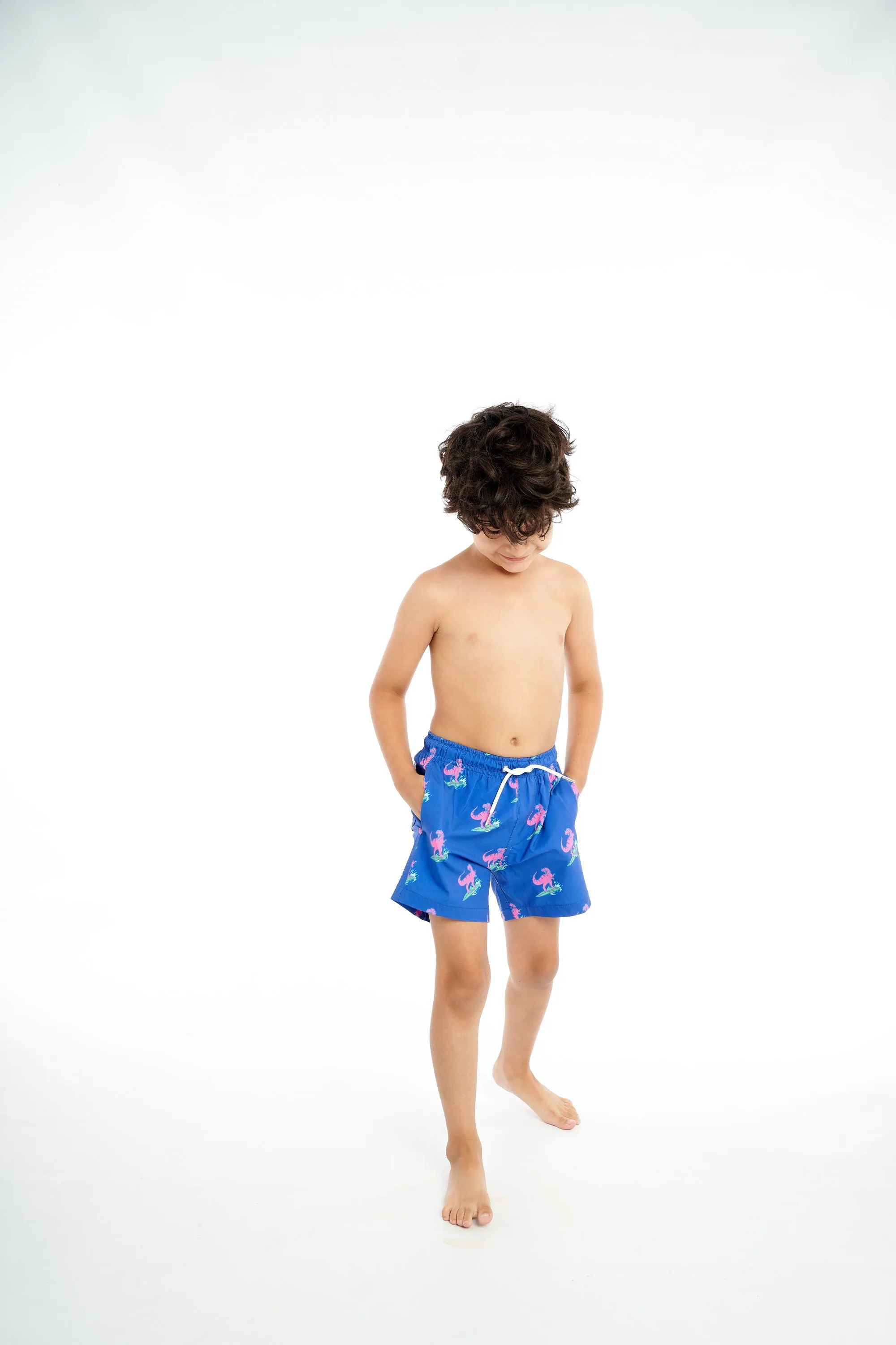 Jurassic Beach sold by Bermies product image thumbnail 3