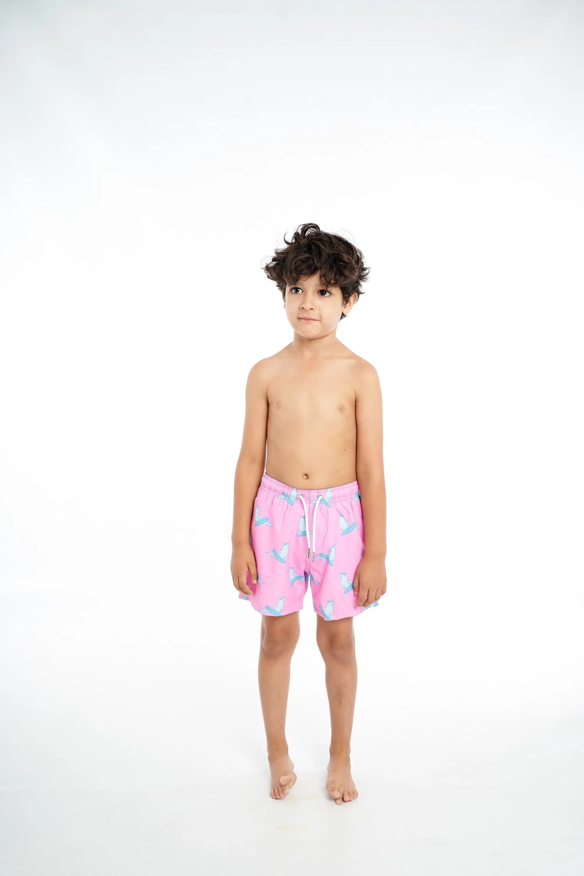 Seal Surfer sold by Bermies product image thumbnail 2